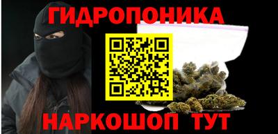 СК Дубна