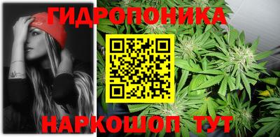 ECSTASY Донской